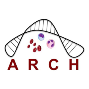 ARCH - project